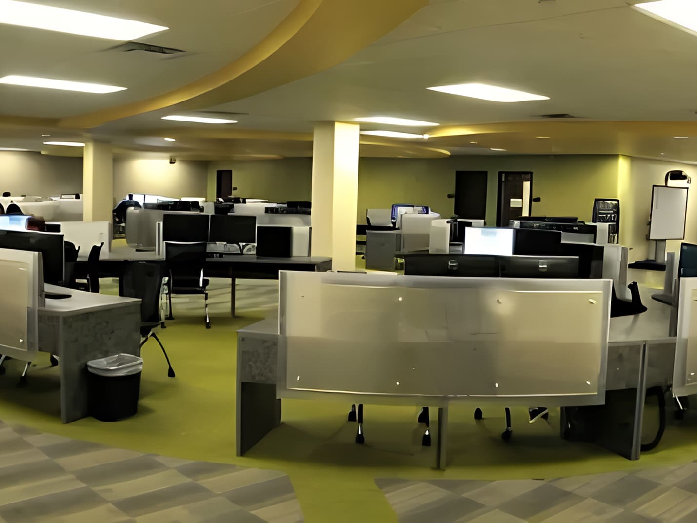 university of south florida 3 usf 2